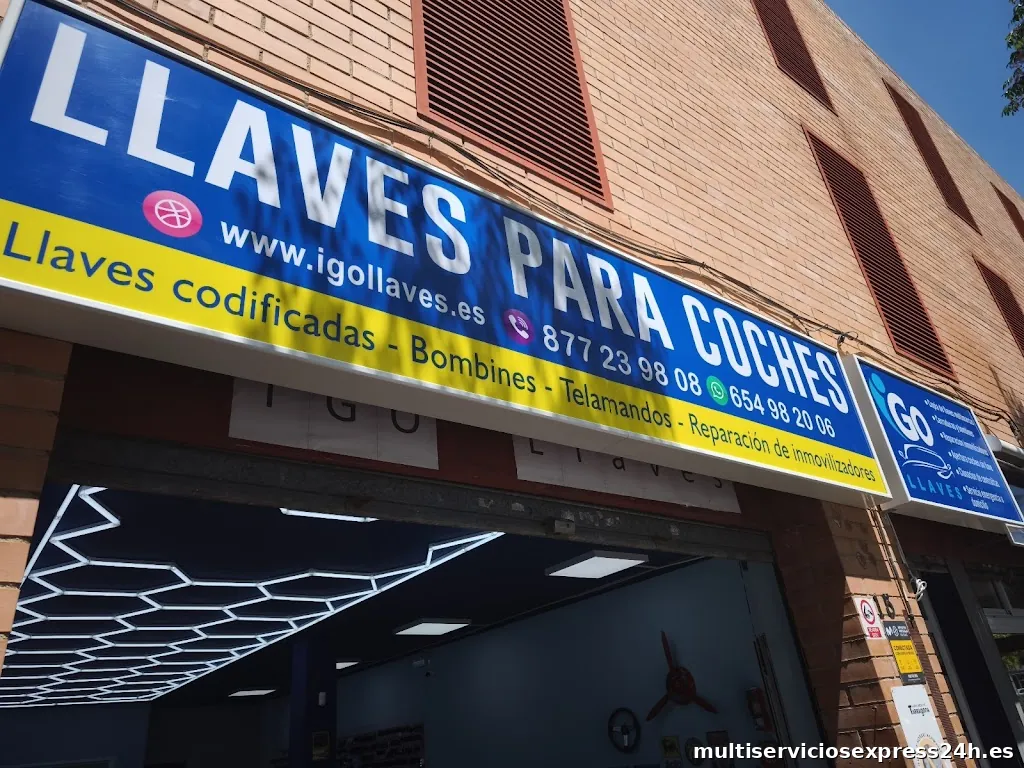 LLAVES DE COCHES IGO