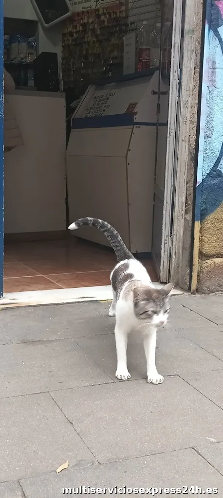 Rapid&Claus cerrajería y zapatería